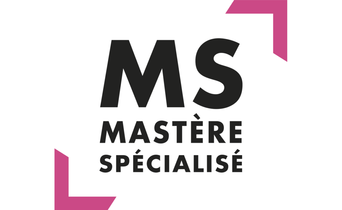 Mastère spécialisé sur ESN en France