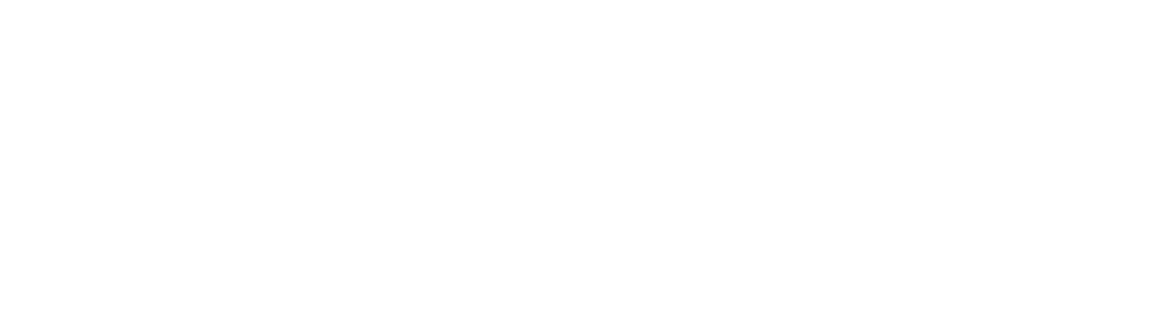 ESN En France